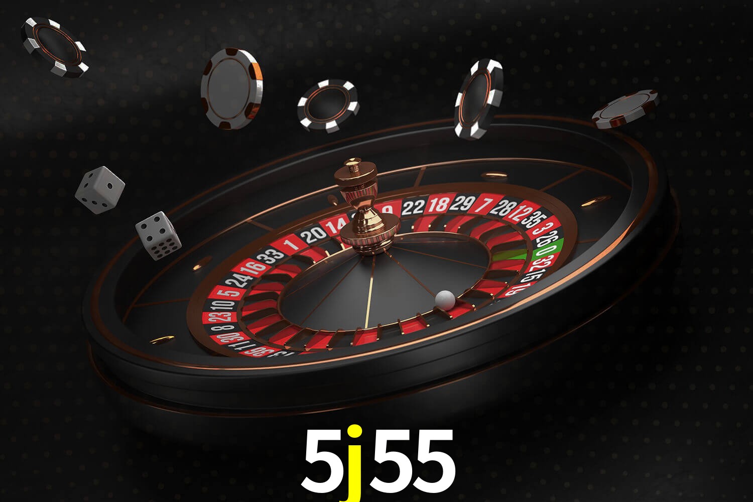 5j55.com